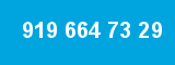 919 664 73 29 919 664 73 29